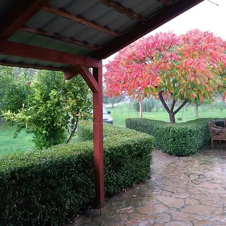 게스트하우스 Gergely Tanya 4*