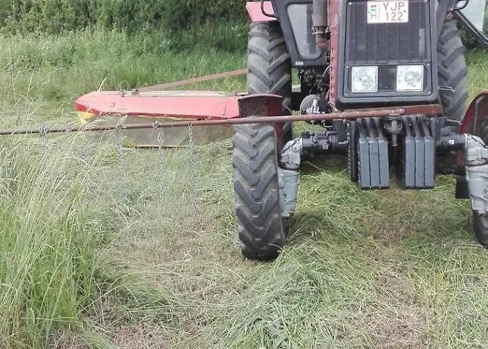 Gasthuis Gergely Tanya